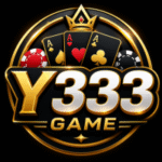 Y333 Game