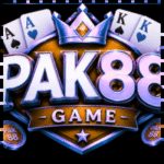 PAK8 Game